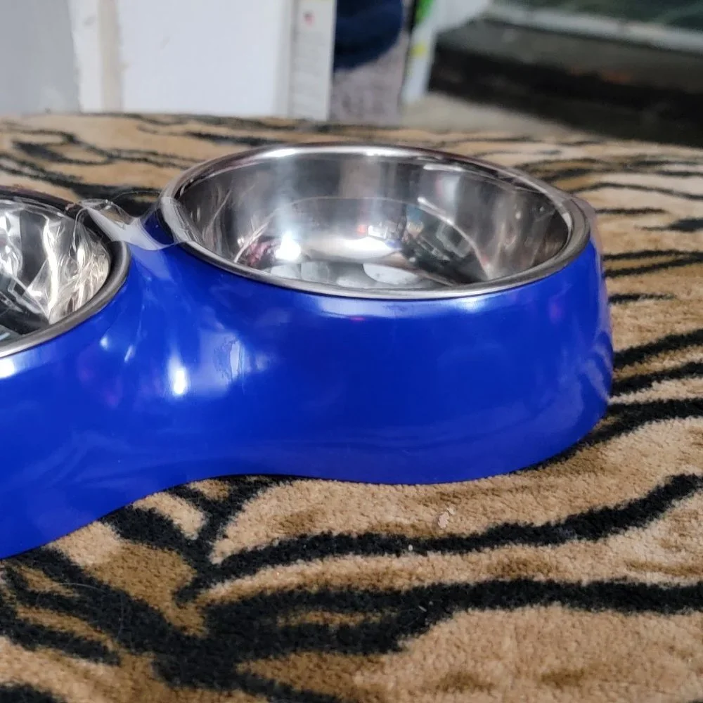 Pet Bowl Set Dog or Cat Stainless blue small 7.1 fl oz.